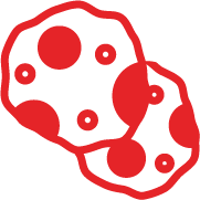Icon de naans